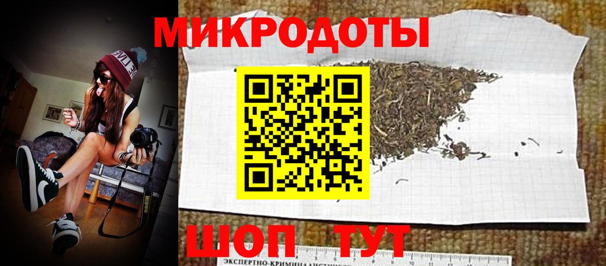 Истра  Галлюциногенные грибы Psilocybine cubensis  Вход с VPN 